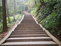 -青城山