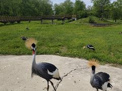 -哈尔滨北方森林动物园