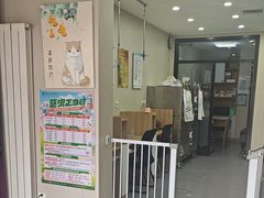 -瑞派宠物医院·犬猫全科·猫友好(宾水西道店)