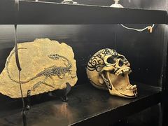 -逃脱反斗城沉浸剧情密室(北京路店)