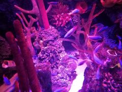 -沈阳海洋探索中心