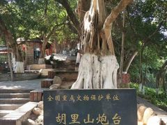 -胡里山炮台