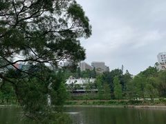 -大埔公路-马料水段香港中文大学(公交站)