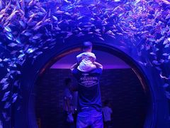 -成都浩海立方海洋公园