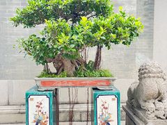 -佛山市祖庙博物馆