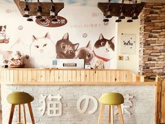 大堂-猫的茶·猫咖