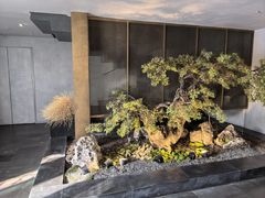 -会仙楼(金融街店)