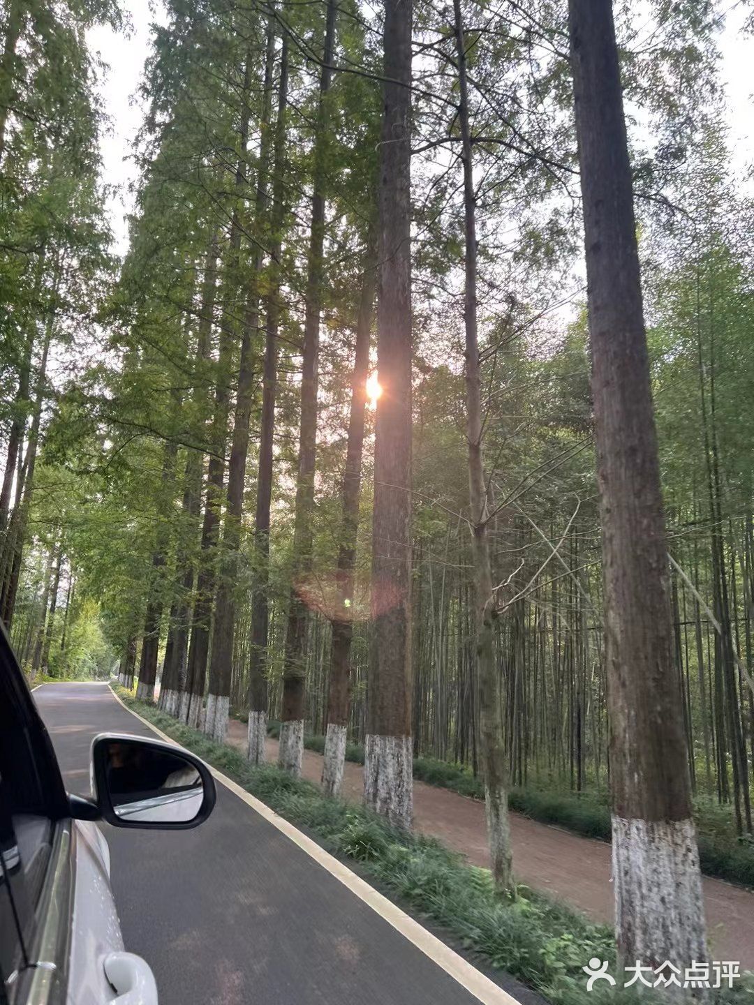 旅行之路的意义是吃！
