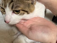 -美联众合动物医院·24h京西诊疗中心