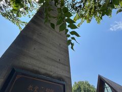 -美丽洲堂