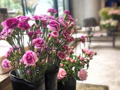 -PlantsEatery·植物食堂(REX春熙店)