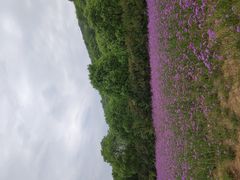 -雪浪山卡丁车俱乐部