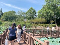 -上海市保健医疗中心