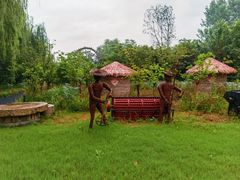 -溱湖国家湿地公园