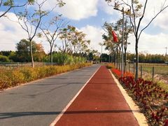 -上海长兴岛郊野公园