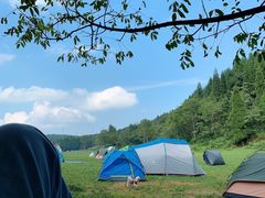 -武陵山森林公园