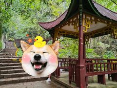 -莫干山风景区