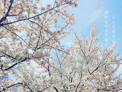 -静安雕塑公园