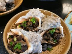 烤海螺-德川家日本料理(龙德广场店)
