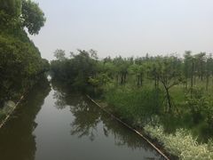 -上海长兴岛郊野公园