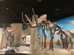 -国家自然博物馆