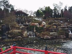 -秀丽东方
