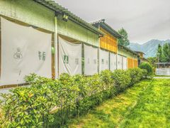 -午后庭院