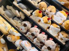 -酷乐潮玩(金桥国际店)