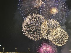 -澳门环岛游湾仔码头
