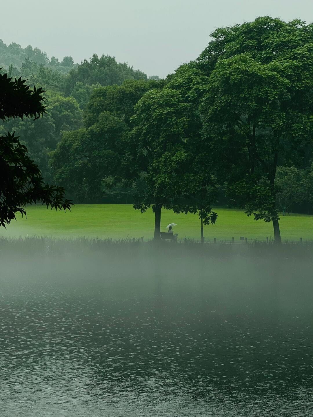 千万不要在雨天去太子湾