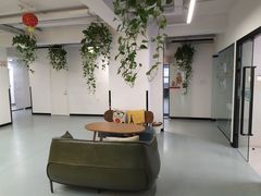 -引领英语·成人口语·雅思托福