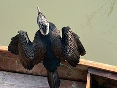 -老地方369农家菜