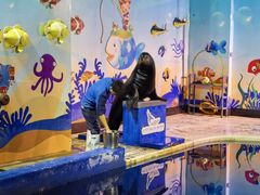 -太平洋海底世界