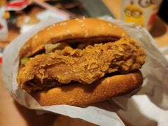 -麦当劳(正定瑞天店)