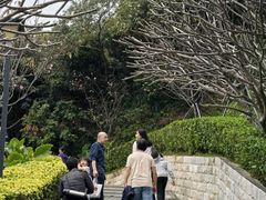 -小南山公园