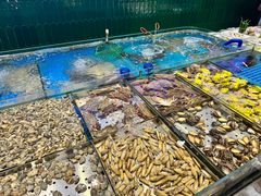 -双合园·海鲜水饺青岛菜(九水东路店)