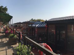 -大湾区中央湿地公园
