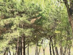 -马家湾湿地公园