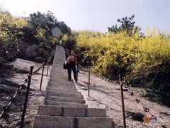 -鲁山国家森林公园