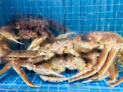 -震海贝烤贝·民俗特色店(延吉总店)