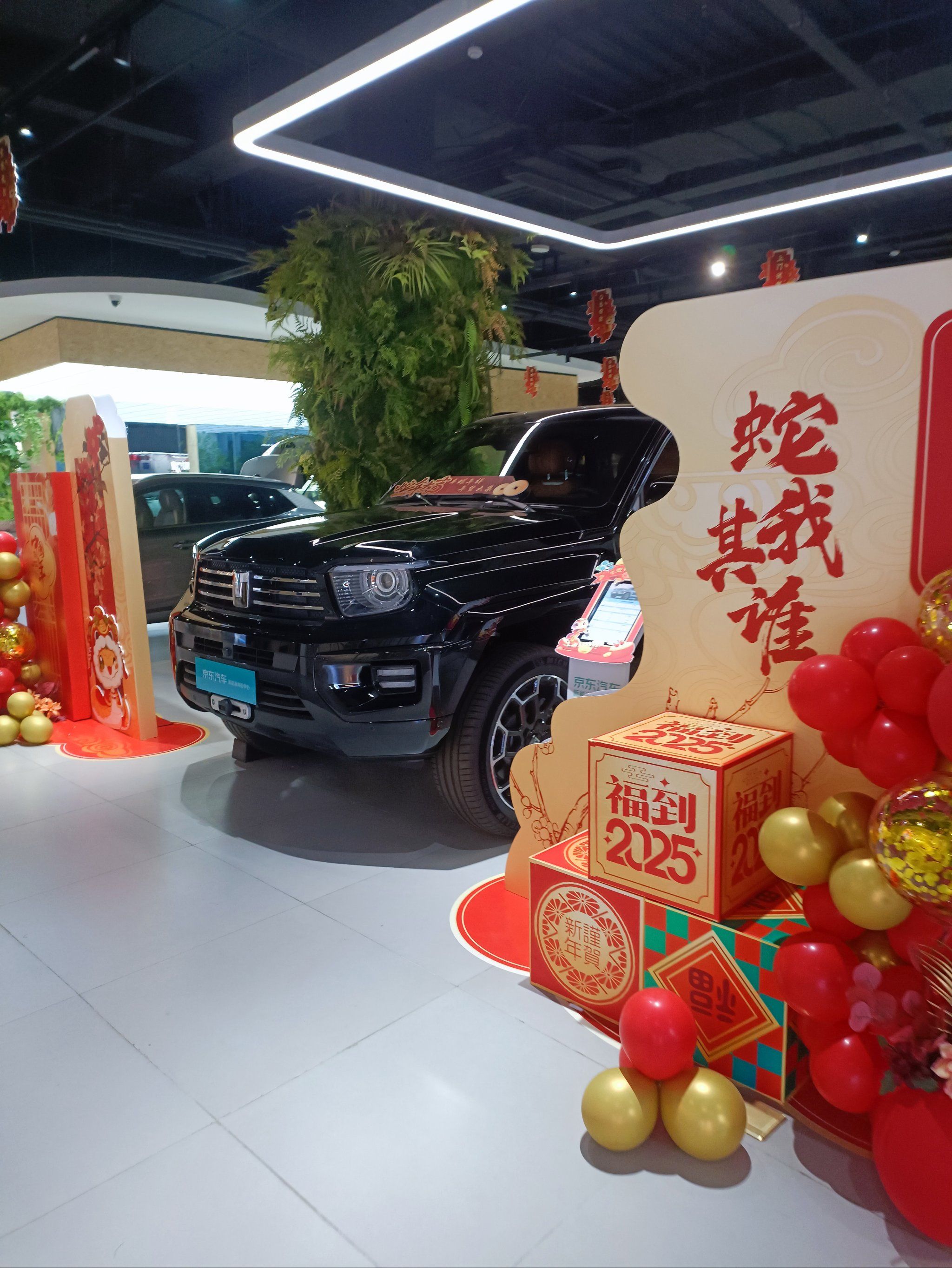 新车来袭 快来围观