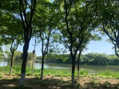 -大兴滨河森林公园
