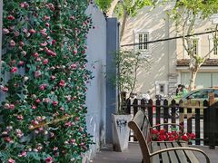 -思南书局·诗歌店