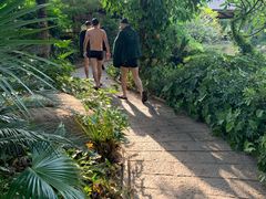 -厦门日月谷温泉渡假村