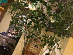 -十二饭点·川菜(北站圆融店)