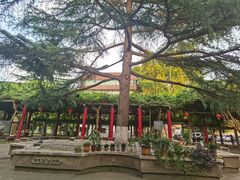 -止园酒店-中餐厅