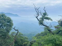 -青城山
