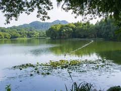 -茅家埠
