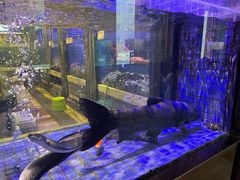 -珍宝轩海鲜火锅(碧湖大厦店)