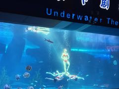 -泉城欧乐堡海洋极地世界